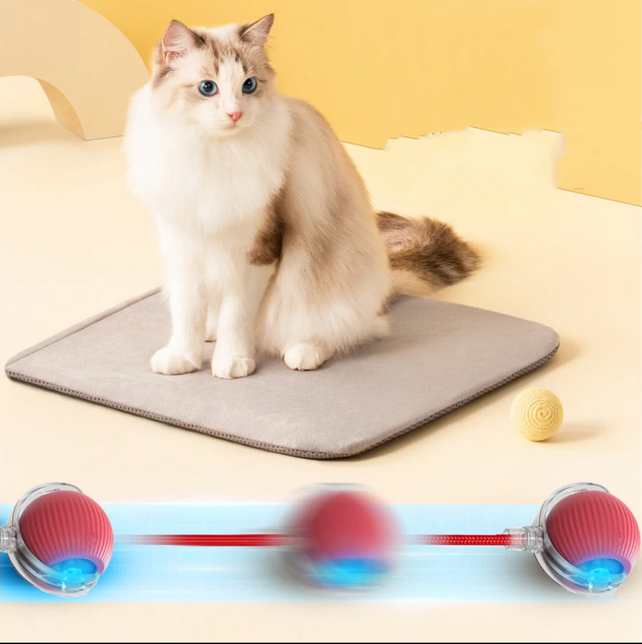 Rotating smart ball toy