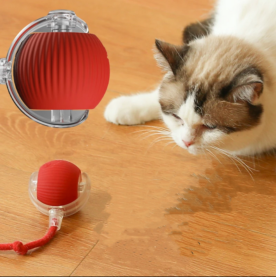 Rotating smart ball toy