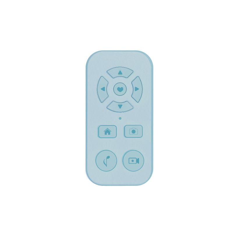 Mobile Video Remote Control
