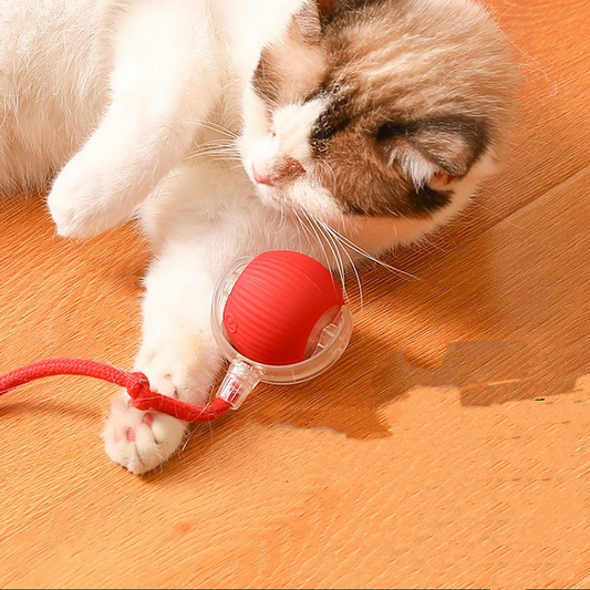 Rotating smart ball toy
